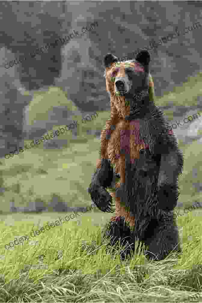 A Majestic Grizzly Bear Stands Tall In The Wilderness, Surrounded By Her Cubs. The Grizzly Mother (Mothers Of Xsan 2)