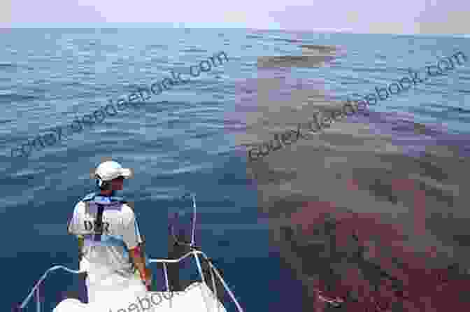An Oil Spill In The Ocean. Oil Spills (Hot Topics) David Mitchell