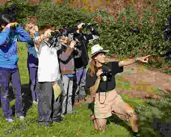 Birdwatching Can Be A Rewarding And Educational Experience. Birds Of Maryland Delaware: Things You Didn T Know About Birds In Maryland Delaware: Learn About Birds In Maryland Delaware