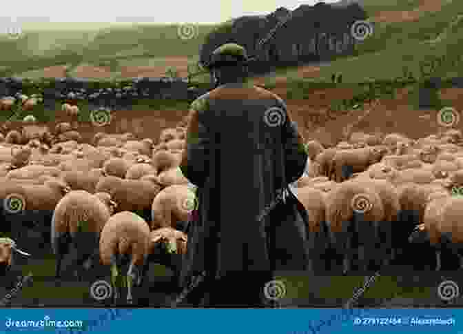 Caroline Owens Tending To A Flock Of Sheep A Lamb S Tale Caroline Owens