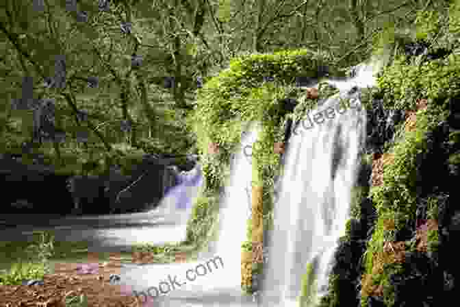 Cascading Waterfall In Boy Own Dale, Peak District A Boy S Own Dale: A 1950s Childhood In The Yorkshire Dales