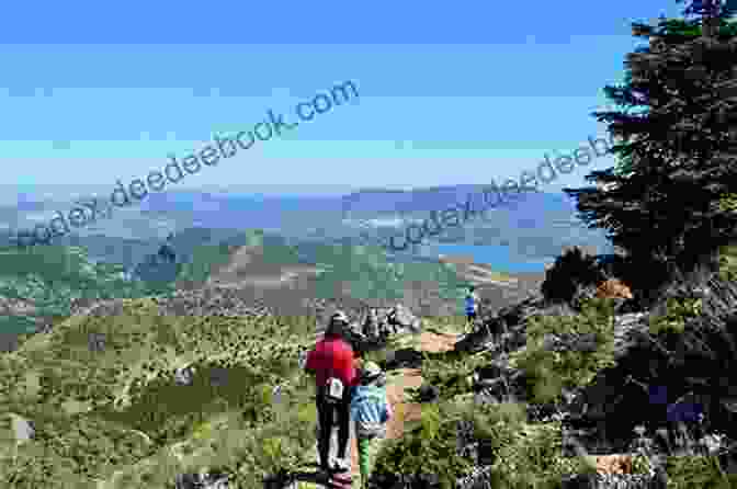 Hiking In Grazalema And La Sierra De Las Nieves The Mountains Of Ronda And Grazalema: Grazalema And La Sierra De Las Nieves Natural Parks Genal And Guadiaro Valleys (International Walking)