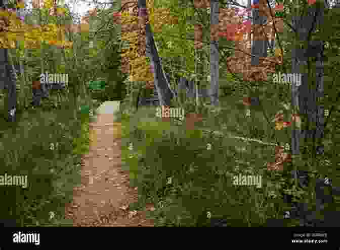 Hiking Through Annie Autumn's Vibrant Forests Annie S Autumn Escape: A Laugh Out Loud Romantic Comedy With A Twist
