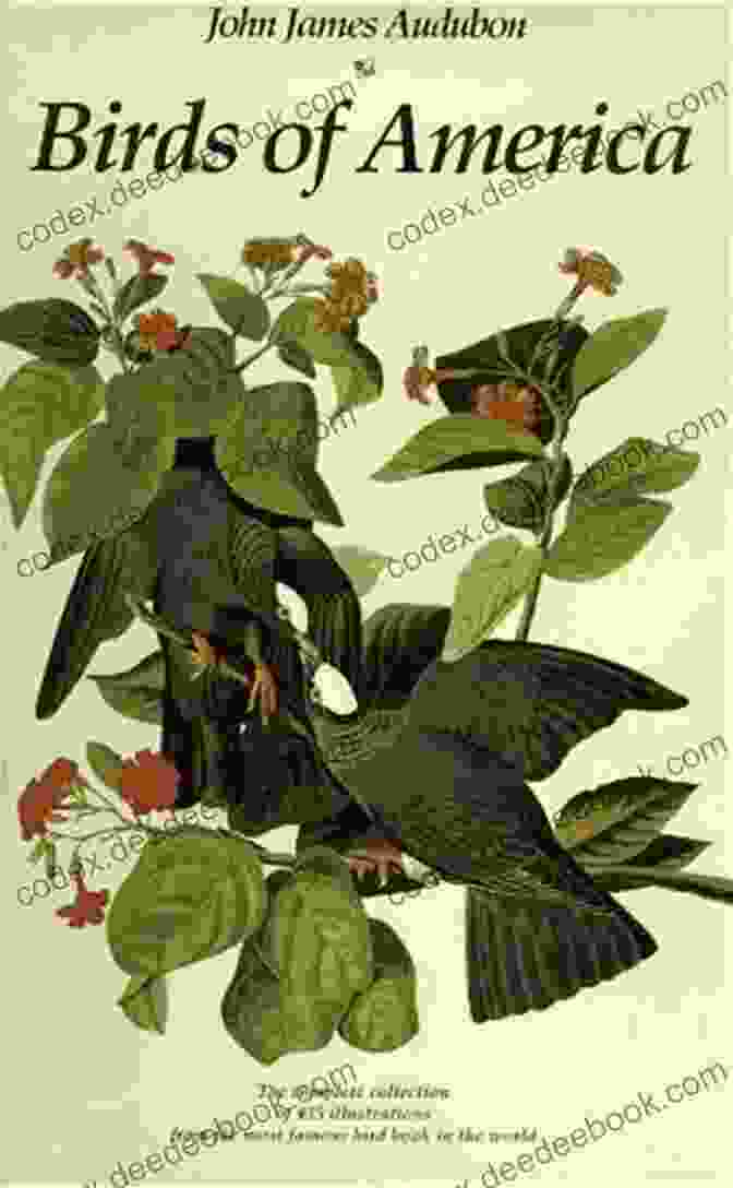 John James Audubon's Birds Of America, An Exquisite Collection Of Life Size, Hand Colored Illustrations Of North American Birds. Audubon S Birds John James Audubon