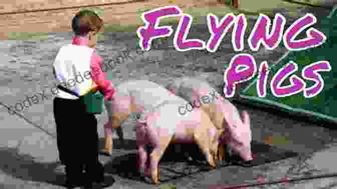 Pigs Flying At Marydale Farm A Topsy Turvy Day At Marydale Farm