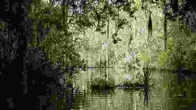 Serene Cypress Forest And Floating Islands Of Okefenokee Swamp STORIES OF GEORGIA (USA) 27 Illustrated Stories: 27 Illustrated Stories About Prominent People And Events In The History Of The State Of Georgia