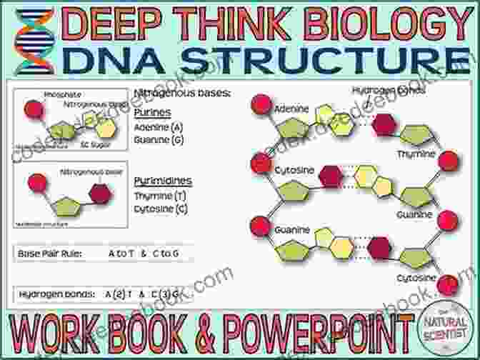 Structure Of DNA DNA GCSE Student Guide (GCSE Student Guides)