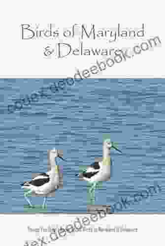Birds Of Maryland Delaware: Things You Didn T Know About Birds In Maryland Delaware: Learn About Birds In Maryland Delaware