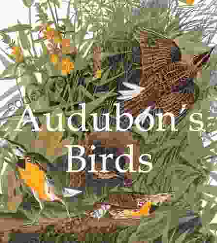 Audubon S Birds John James Audubon