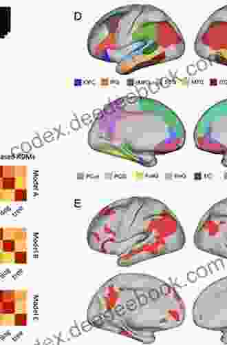 Cognitive And Neural Modelling For Visual Information Representation And Memorization