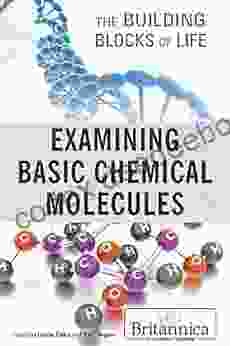 Examining Basic Chemical Molecules (Building Blocks Of Life)