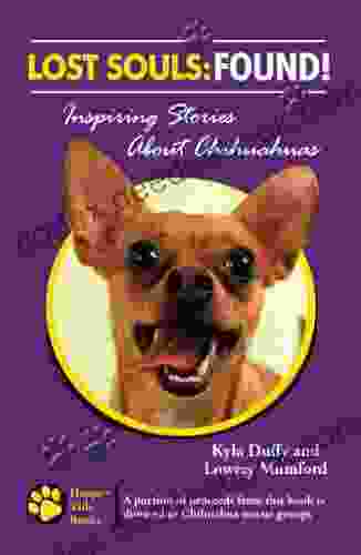 Lost Souls: Found Inspiring Stories About Chihuahuas