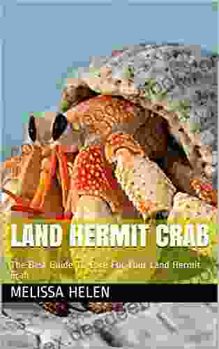 Land Hermit Crab: The Best Guide To Care For Your Land Hermit Crab