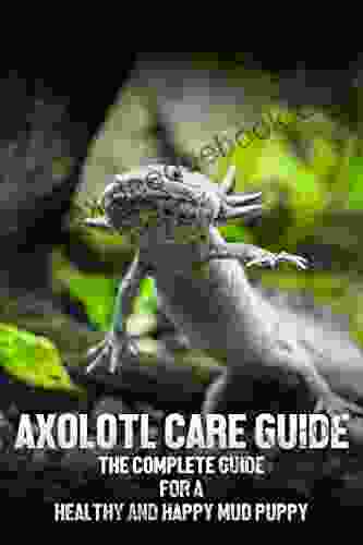 Axolotl Care Guide : The Complete Guide For A Healthy And Happy Mud Puppy