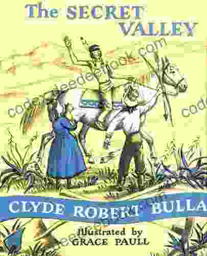 The Secret Valley (Trophy Chapter (Paperback))