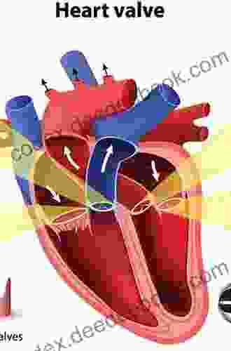 Valvular Heart Disease (Cardiovascular Medicine)
